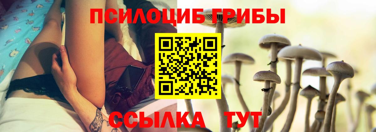 Галлюциногенные грибы мицелий Кулебаки